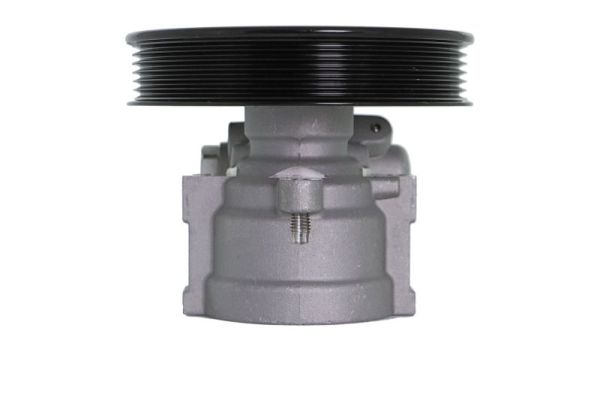 Lauber Servopomp 55.0460