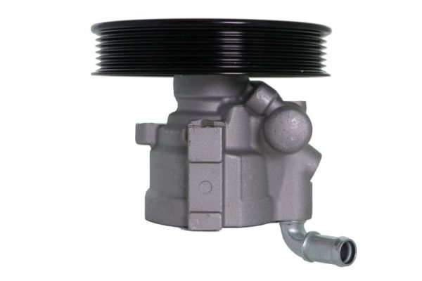 Lauber Servopomp 55.0460