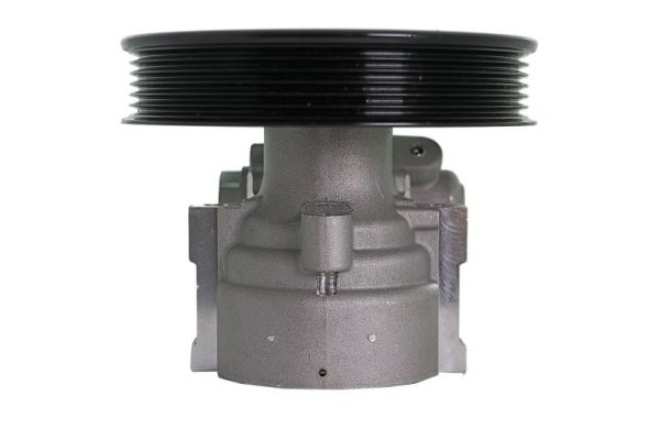 Lauber Servopomp 55.0490