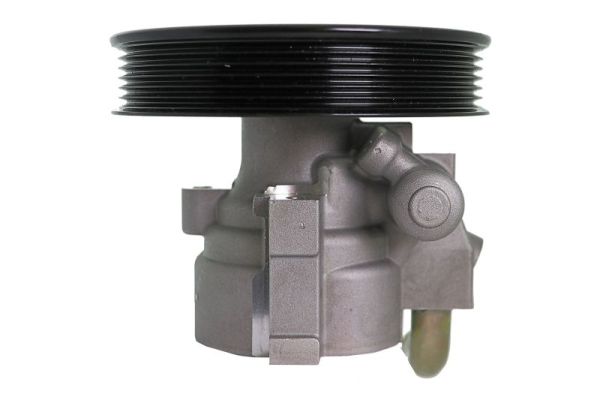 Lauber Servopomp 55.0490