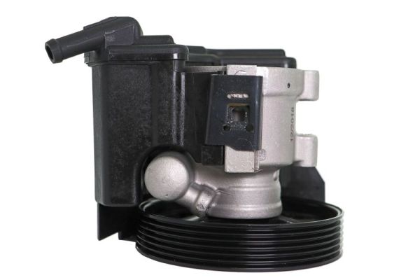Lauber Servopomp 55.0529