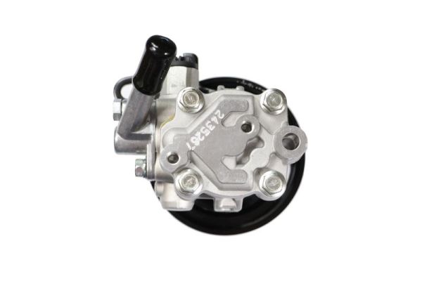 Lauber Servopomp 55.0668