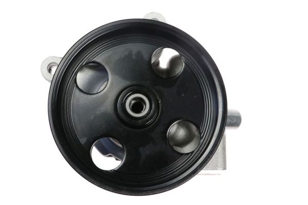 Lauber Servopomp 55.1432