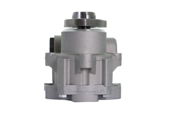 Lauber Servopomp 55.1574
