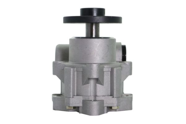 Lauber Servopomp 55.1620