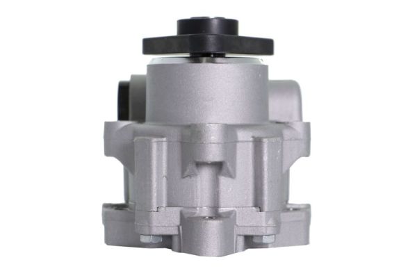 Lauber Servopomp 55.1659