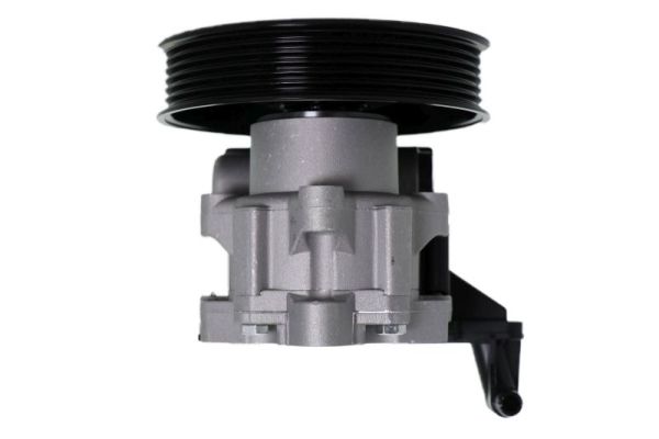 Lauber Servopomp 55.2901