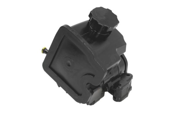 Lauber Servopomp 55.2913