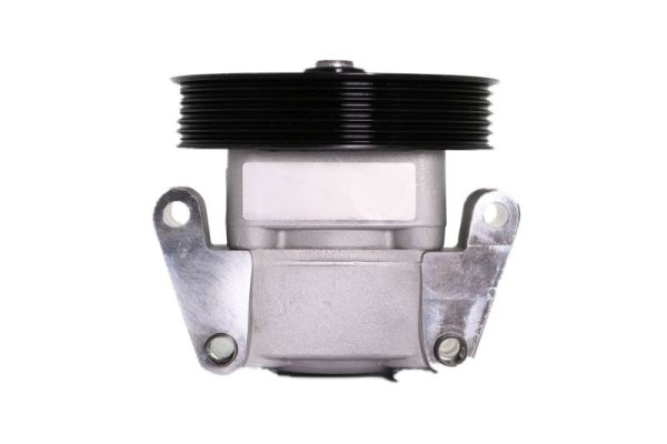 Lauber Servopomp 55.3501
