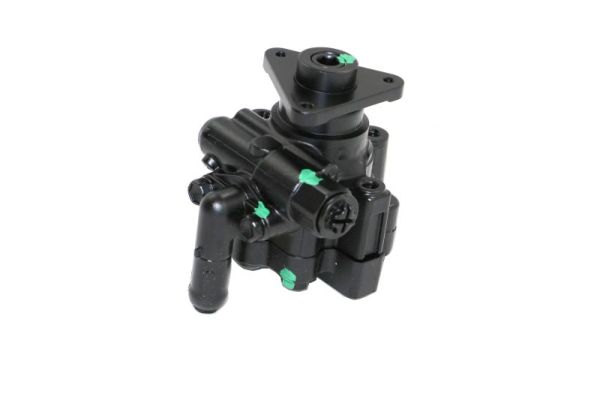 Lauber Servopomp 55.4293