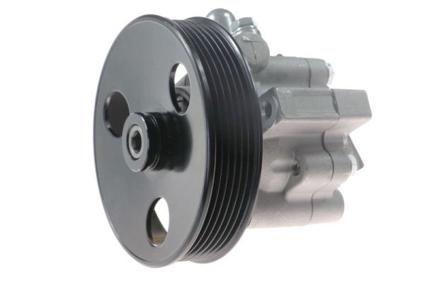 Lauber Servopomp 55.4296