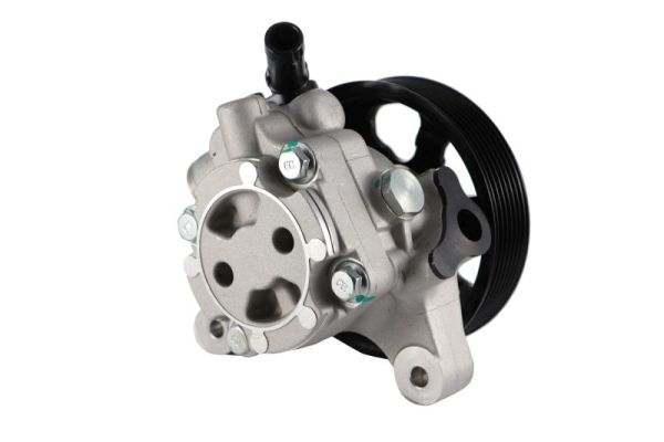 Lauber Servopomp 55.4301