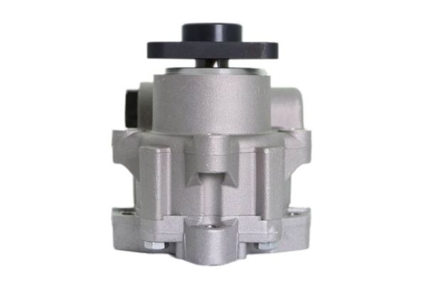 Lauber Servopomp 55.5133