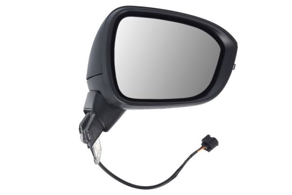 Buitenspiegel Blic 5402-16-2384311P