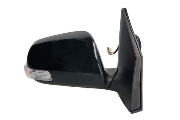 Blic Buitenspiegel 5402-19-2002466P