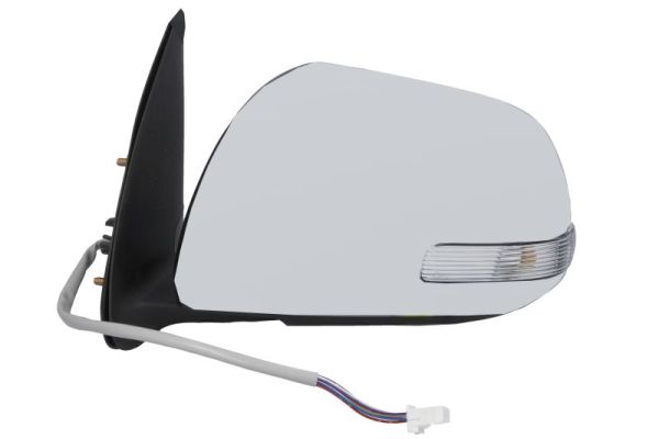 Blic Buitenspiegel 5402-19-2002489P