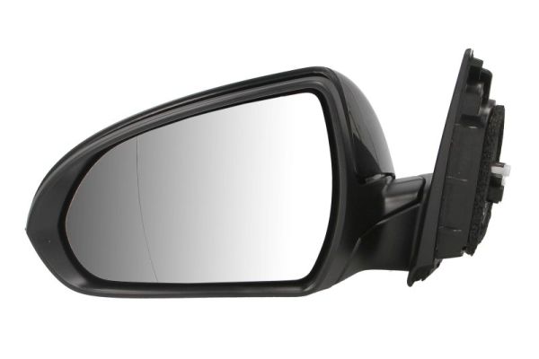 Buitenspiegel Blic 5402-20-1966310P