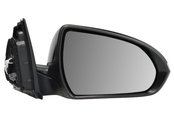 Buitenspiegel Blic 5402-20-1966319P