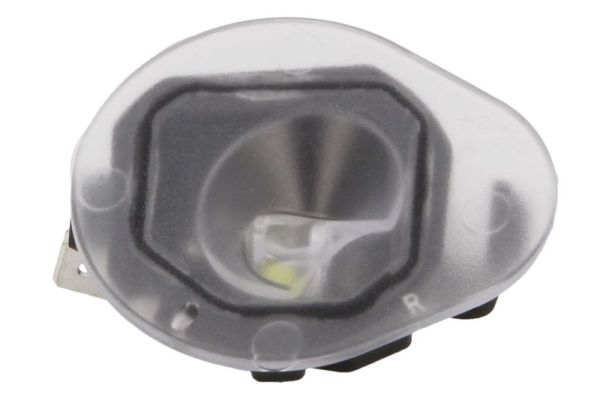 Omgevinglicht, buitenspiegel Blic 5406-55-0612106P