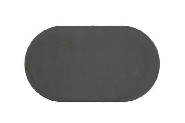 Ventilatiegrille, bumper Blic 5504-00-0097939PP