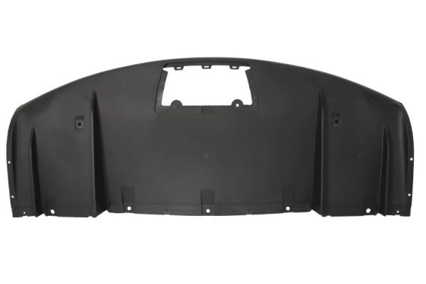 Spoiler Blic 5511-00-7705970P