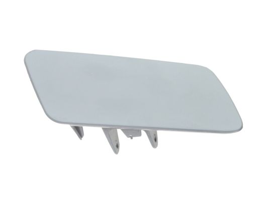 Plaat, bumper Blic 5513-00-9586912P