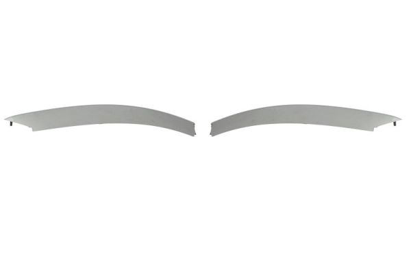 Sier- / beschermingspaneel, bumper Blic 5703-05-6901925P