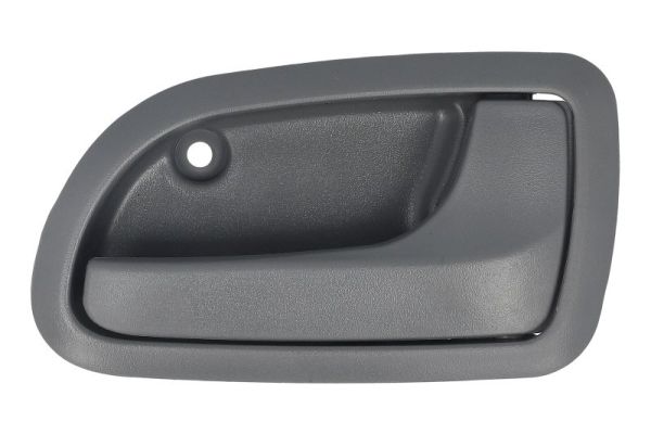 Handgreep, interieur Blic 6010-53-017408P