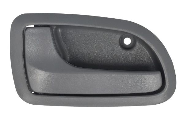 Handgreep, interieur Blic 6010-53-017409P
