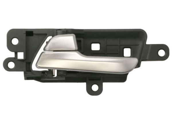 Handgreep, interieur Blic 6010-53-0672409P