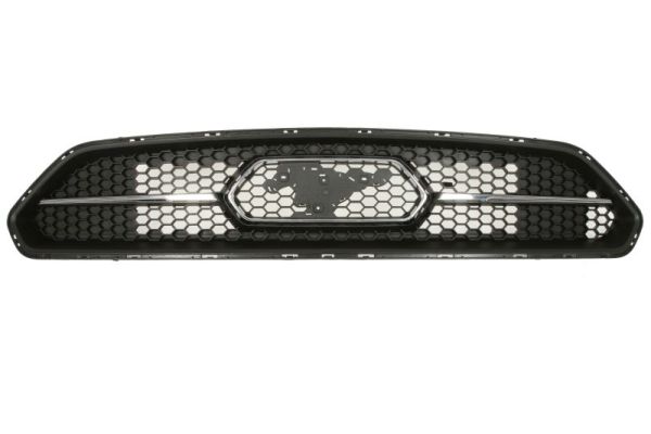 Grille Blic 6502-03-2589205P