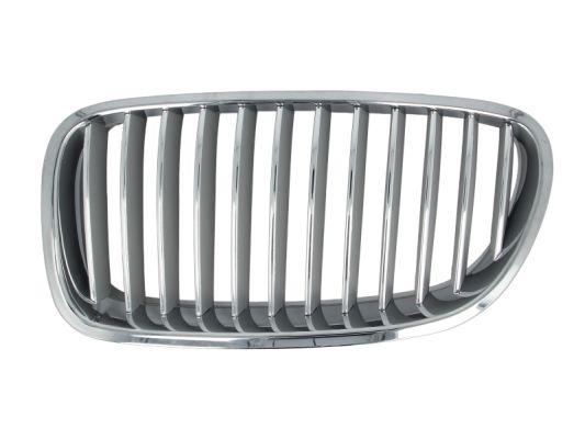 Grille Blic 6502-07-0067995P