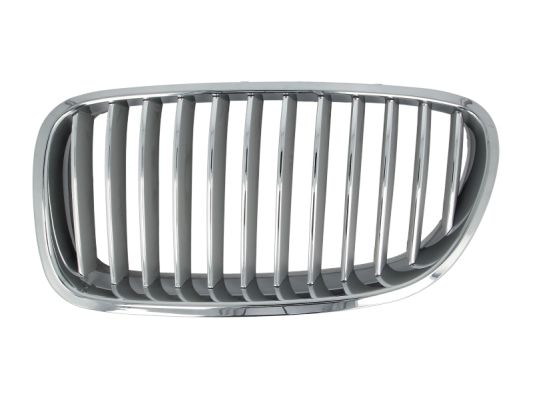 Grille Blic 6502-07-0067996P