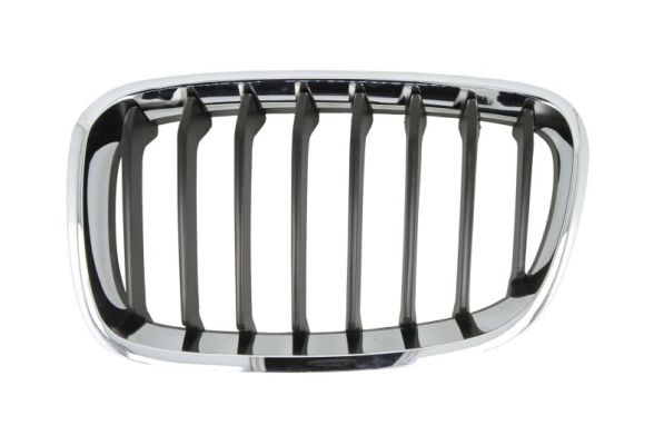 Grille Blic 6502-07-0086995P