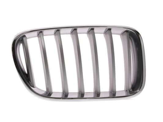 Grille Blic 6502-07-0093998P