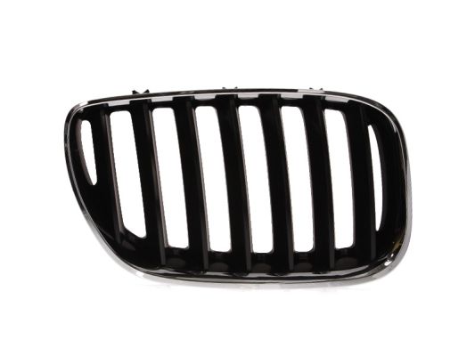 Grille Blic 6502-07-0095996P