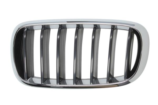 Grille Blic 6502-07-00969911P