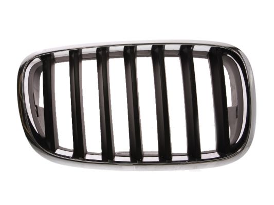 Grille Blic 6502-07-0096992P