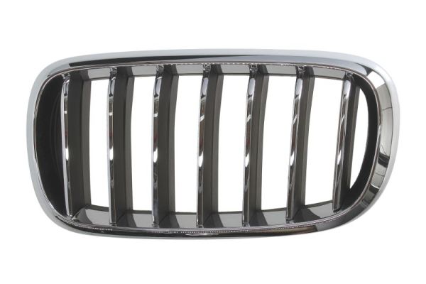 Grille Blic 6502-07-00969933P