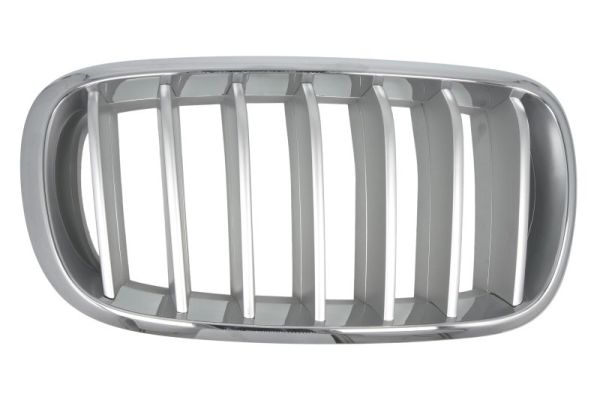 Grille Blic 6502-07-00969966P