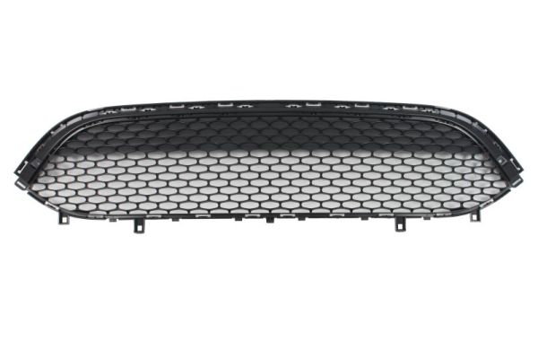 Radiateurgrille Blic 6502-07-0941992P