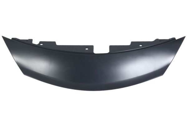 Plaat, radiateurgrille Blic 6502-07-1638210P