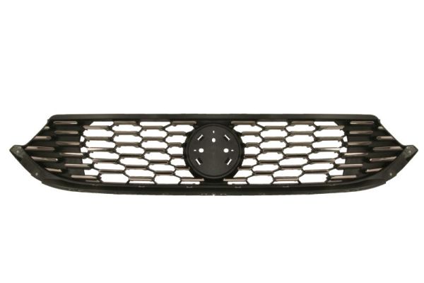 Grille Blic 6502-07-2030991P