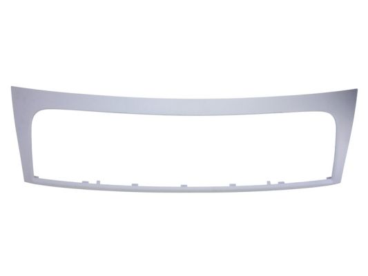 Sier- / Beschermingspaneel, radiateurgrille Blic 6502-07-2035991Q