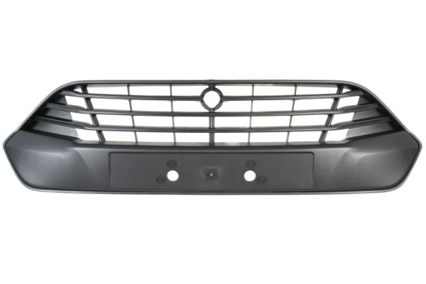 Grille Blic 6502-07-2512996Q