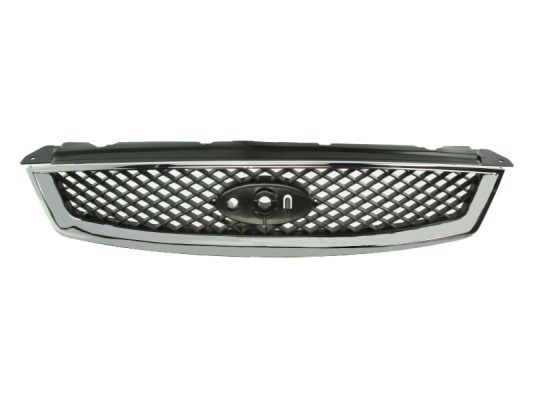 Blic Grille 6502-07-2533991P