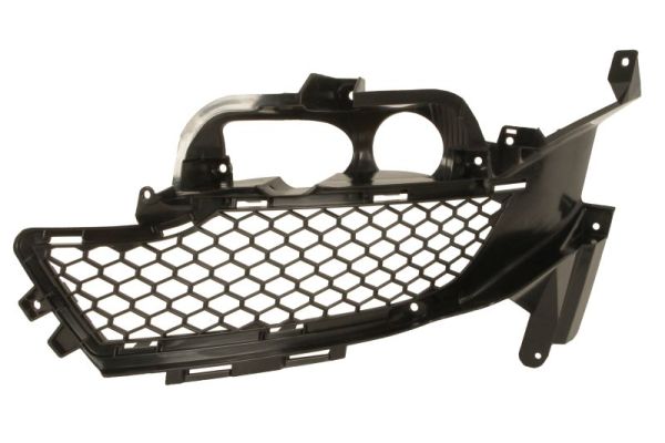 Ventilatiegrille, bumper Blic 6502-07-2586917P