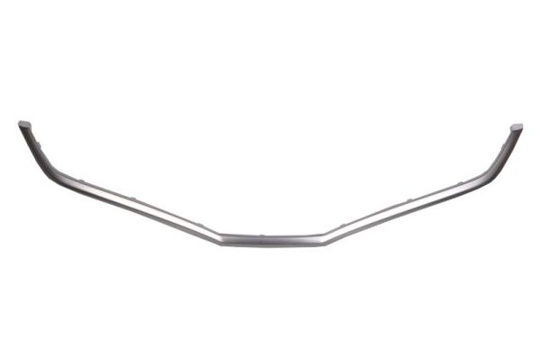 Sier- / Beschermingspaneel, radiateurgrille Blic 6502-07-2901994P