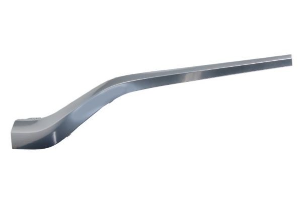 Sier- / beschermingspaneel, bumper Blic 6502-07-3184923P