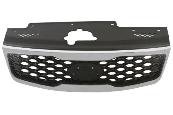 Grille Blic 6502-07-3505992Q